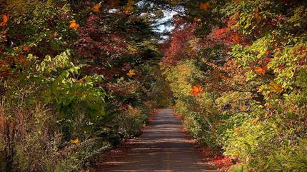野幌森林公園　紅葉散歩202２f.jpg